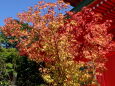 一足速いお寺境内の紅葉