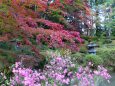 10月の日光山林王寺