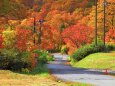 秋の八幡平