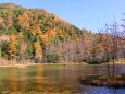 晩秋の明神池
