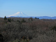 狭山富士から富士山