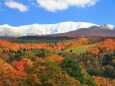 冠雪の月山と紅葉