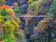月山あさひの吊り橋