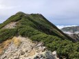 小蓮華山稜線にて