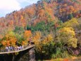 白川郷出会い橋