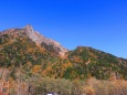 11月の明神岳