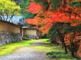 秋の古刹