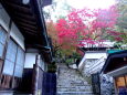 秋の深まり 山寺の紅葉