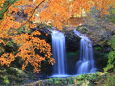 秋に見る滝