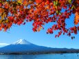 富士山と紅葉