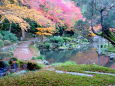 山寺の紅葉の庭園散策路