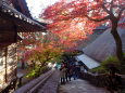 西日に映える山寺の紅葉