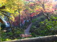 山寺の秋を楽しむ紅葉の散策路