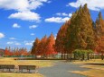 秋の公園