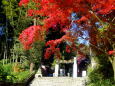 神功皇后伝説の神社 参道の紅葉