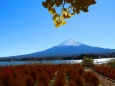 富士山と紅葉