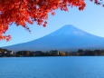 富士山と紅葉
