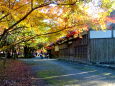 城址の紅葉散策路