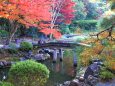 秋の庭園