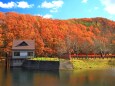 秋の湖畔