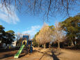 冬の公園