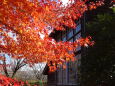 輝く紅葉と大正時代のアトリエ館