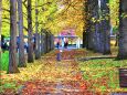 秋の公園
