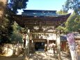 寛永9年創建櫻井神社