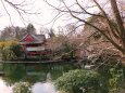 井の頭公園