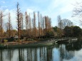 井の頭公園