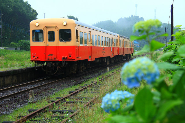 紫陽花香る駅1