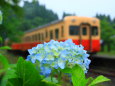 紫陽花香る駅2