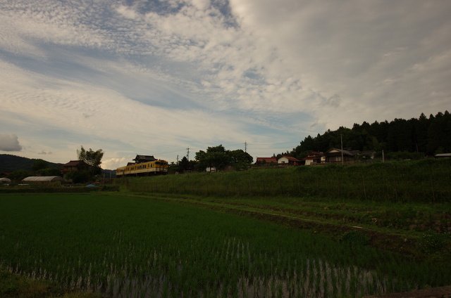 キハ47と初夏の田園風景