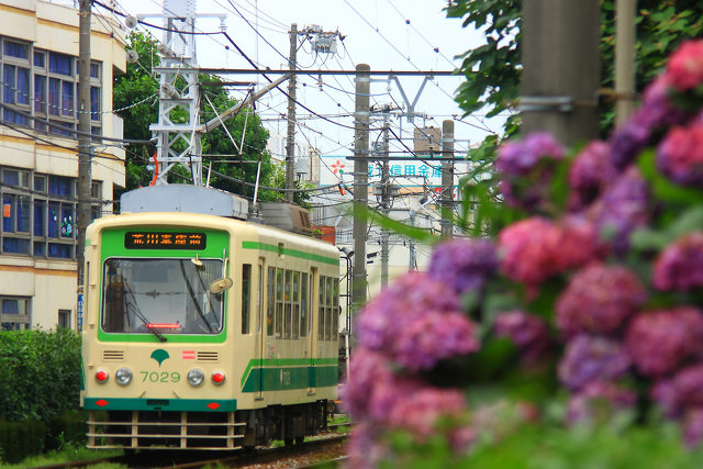 梅雨の合間