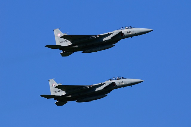 F-15J & F-15DJ