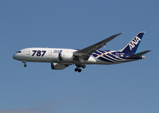 JA802A - B787