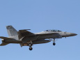 F/A-18F Super Hornet