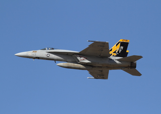 F-18E Eagles 300