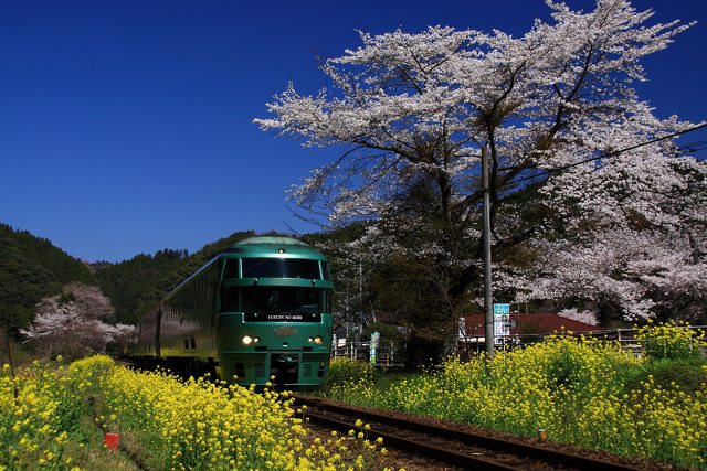 ゆふいんの森1号