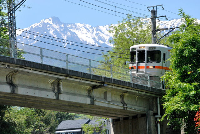 新緑囲む飯田線と中アル空木岳