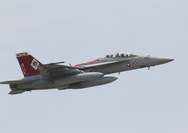 FA-18F Diamond backs