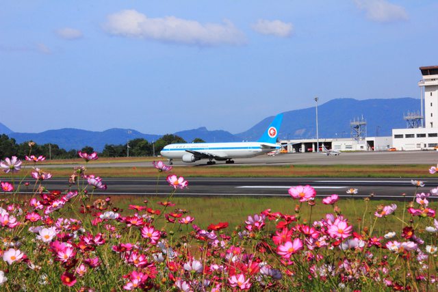 見送りの花たち