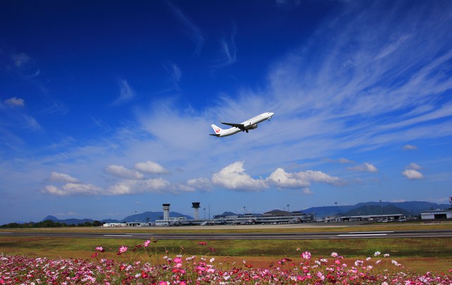 青空に向かって