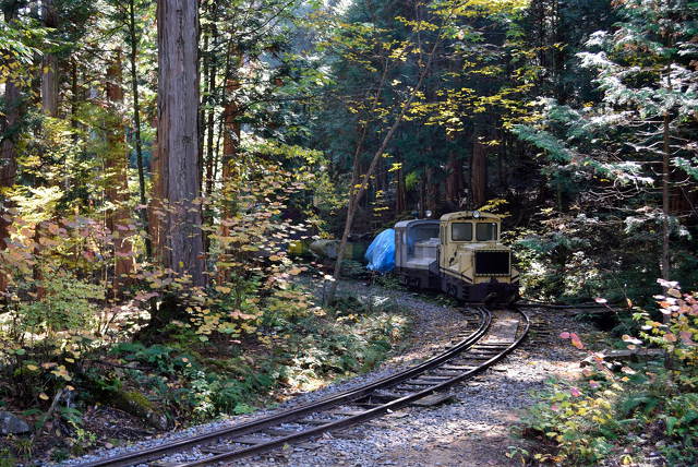 森林鉄道の旧車両