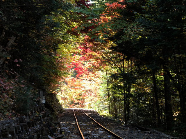 さあ来るぞ森林鉄道