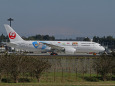 B787 JA823J(1)