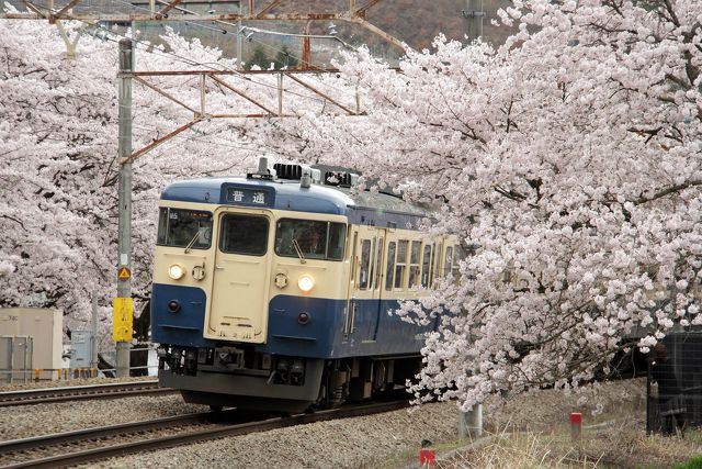 中央線の115系