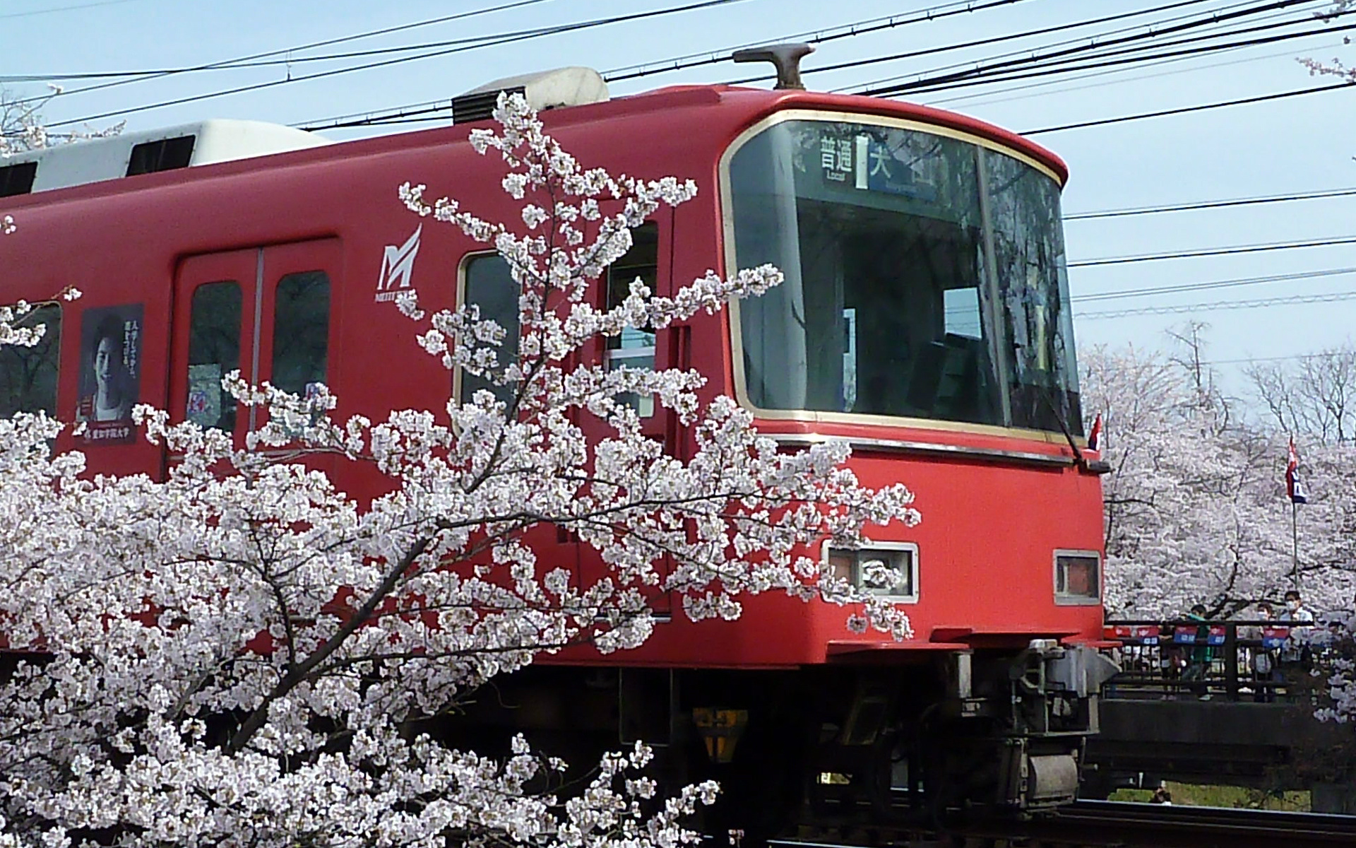 鉄道 電車 百十郎桜13 名鉄 1 壁紙19x10 壁紙館