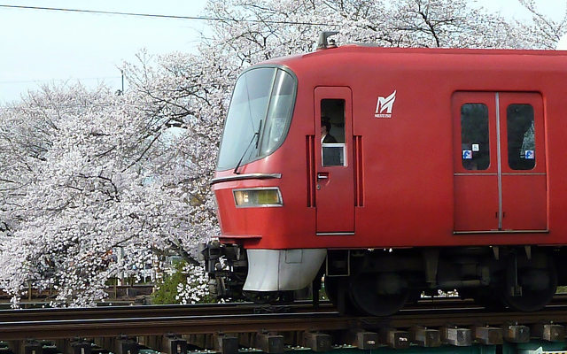 百十郎桜2013 名鉄_4