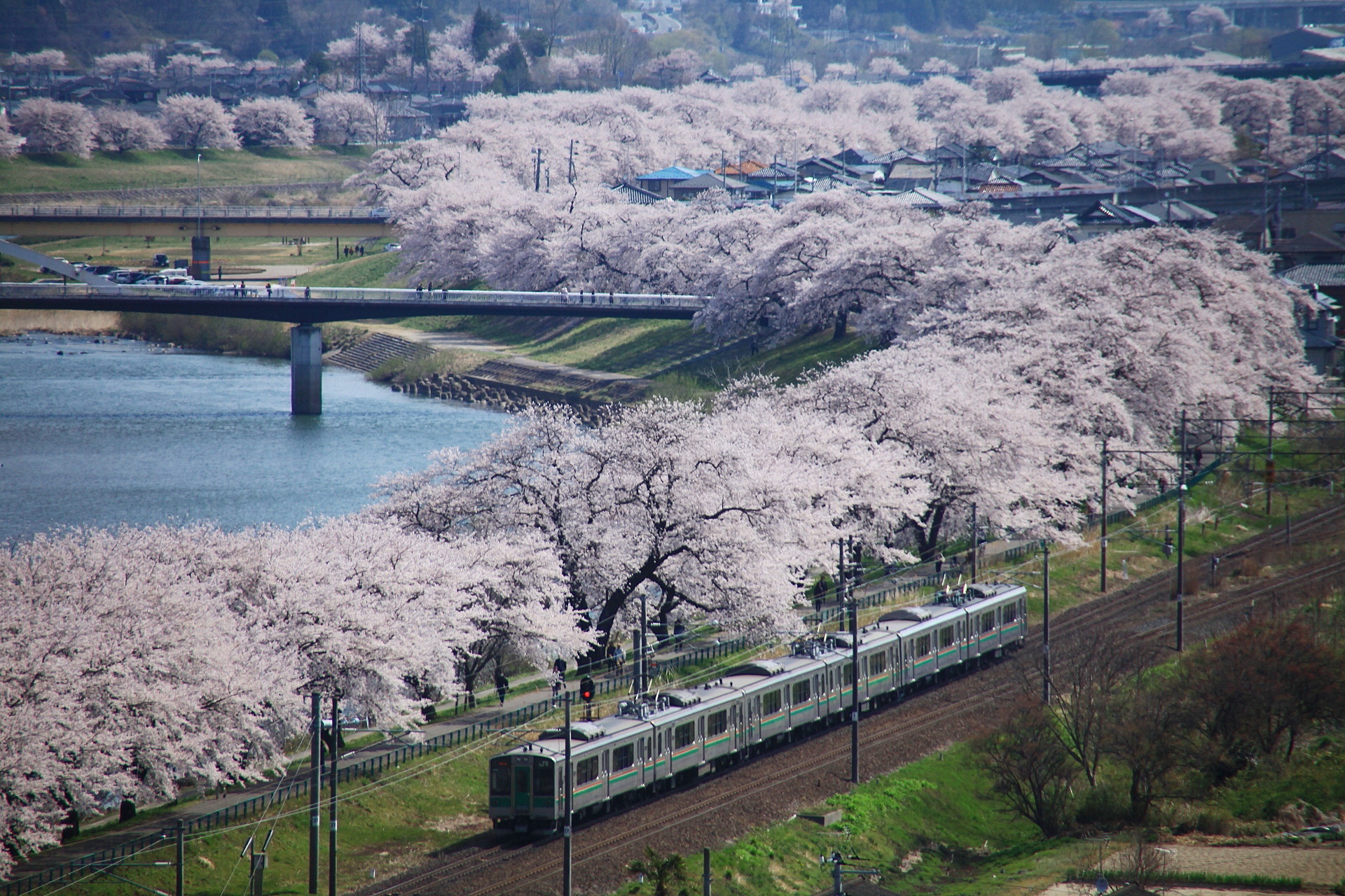 鉄道 電車 東北本線船岡付近 壁紙19x1280 壁紙館